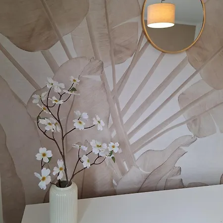 For 4 - Parking Space For Car - Internet * بيليفيلد