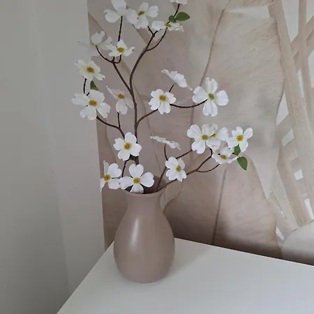 For 4 - Parking Space For Car - Internet