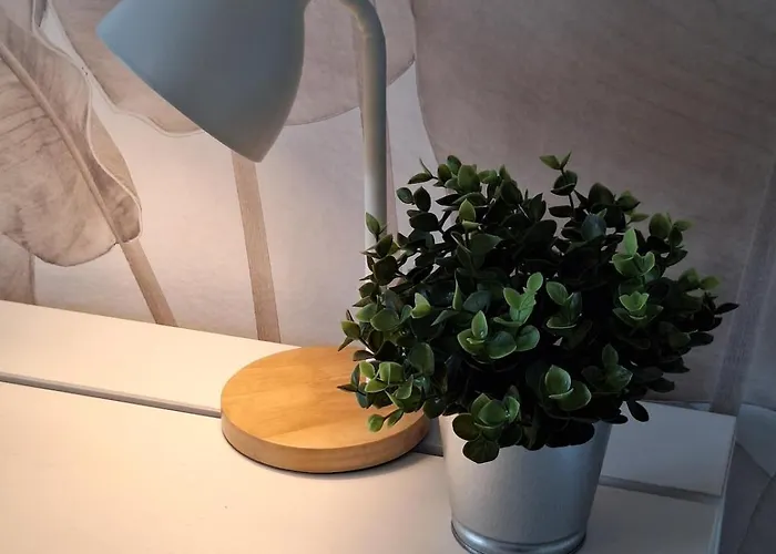 Lejlighed For 4 - Parking Space For Car - Internet Bielefeld