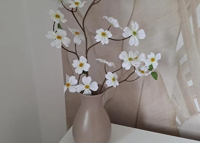 For 4 - Parking Space For Car - Internet